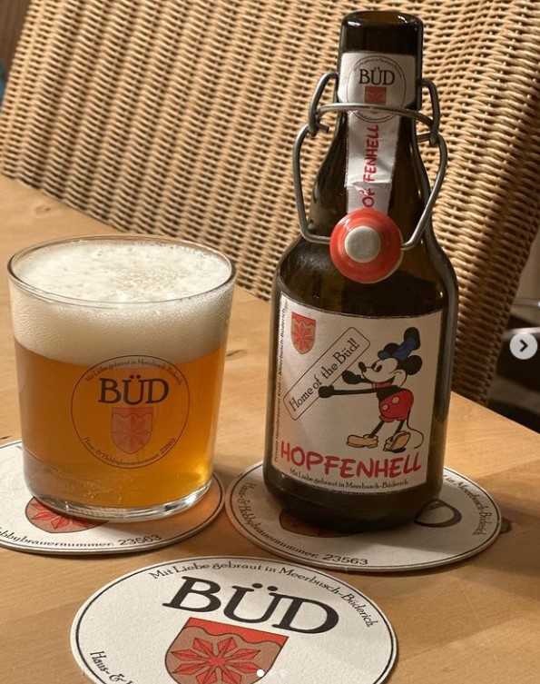 Büd Hopfenhell im Büd Glas